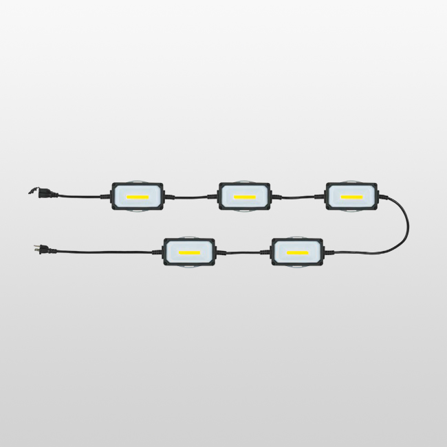 LS01C 120 V 24 W maximum